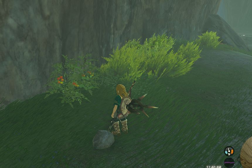Zelda: Tears of the Kingdom Hylina Tomato Farming Location- Where to Find