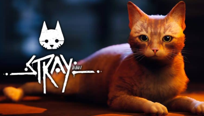 Does the cat die in 'Stray?' How the buzzy indie game speaks to a larger  trend